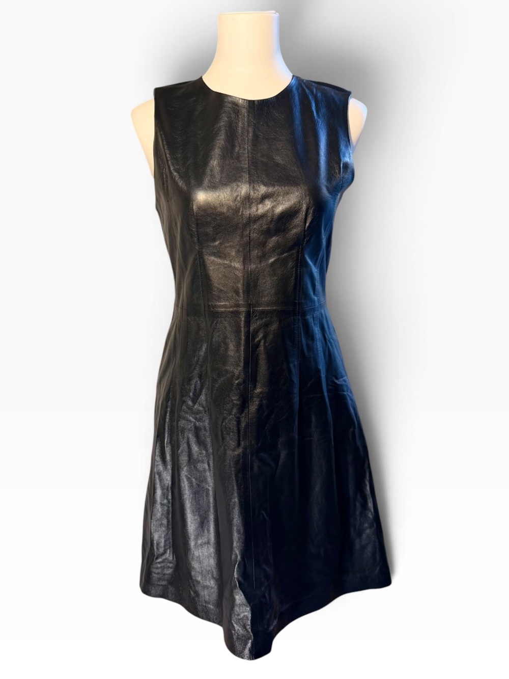 Theory Darted Leather Dress Fit-and-Flare Sleeveless Sheath Sz 6 Minimalist Fall